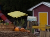 pop-garden-website-photos-_-jerry-mcclure-1987