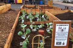 Imagine Garden