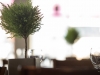 20150323_POP_11