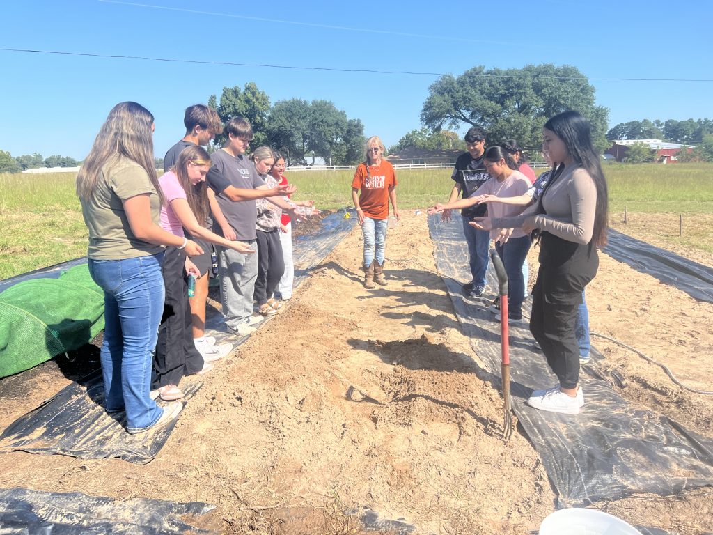 Broadcasting Cilantro Seeds for Farm Expansion