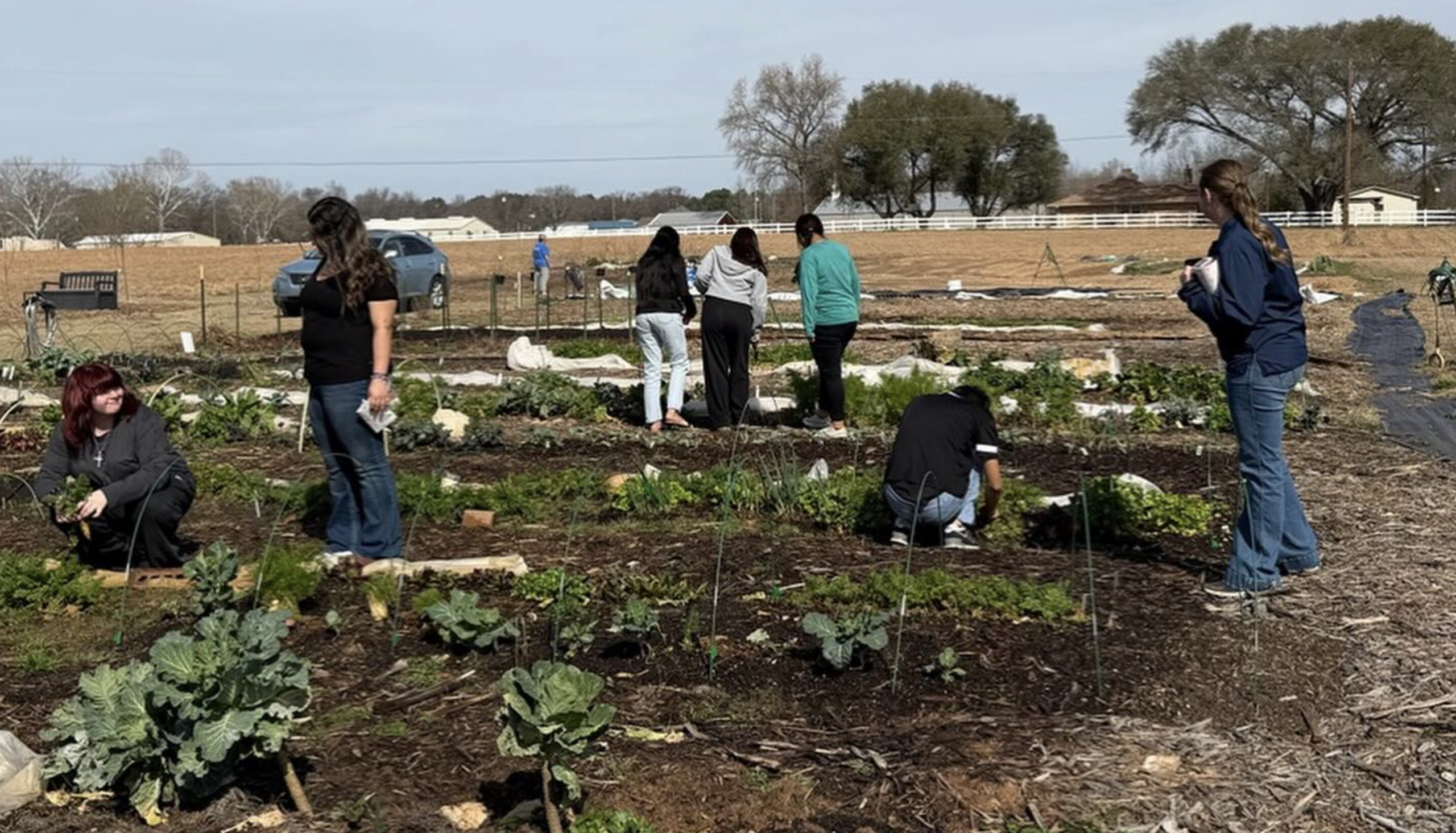 Our Youth at Sunshine Acres Farm